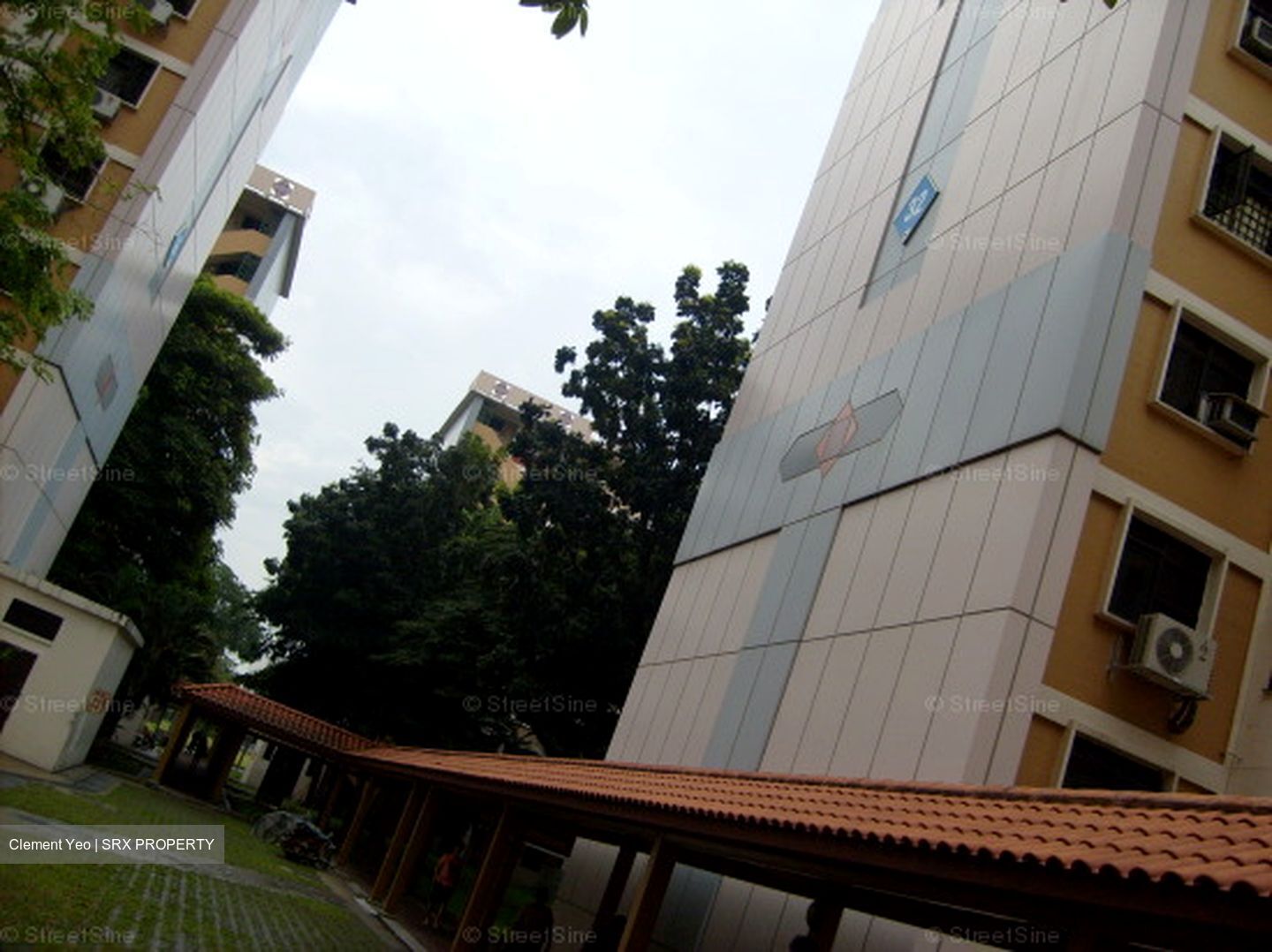 Blk 32 Whampoa Gardens (Toa Payoh), HDB 3 Rooms #590233701